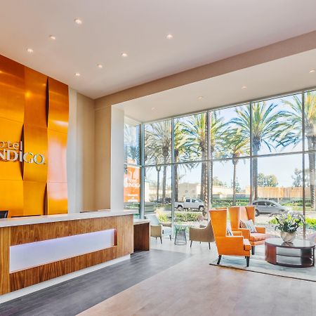 Hotel Indigo Anaheim By Ihg Kültér fotó
